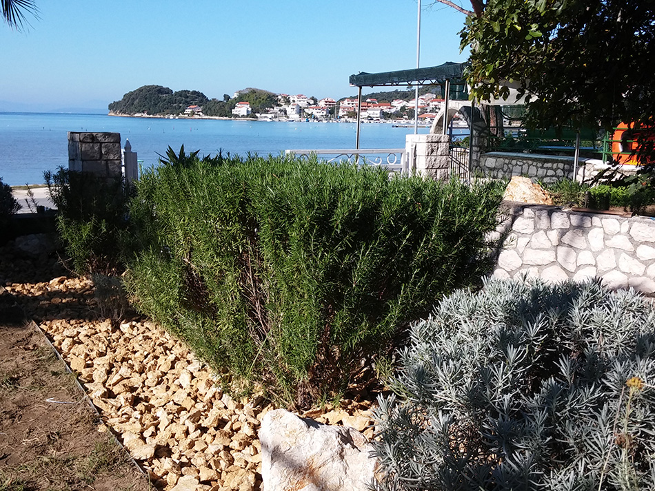 Apartments Rab Croatia